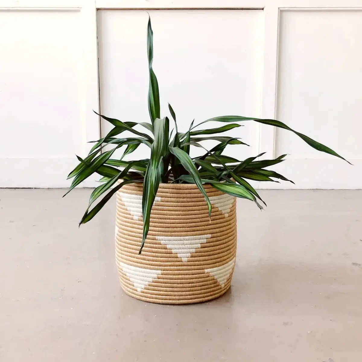Ihema Plant Basket - 10In 1