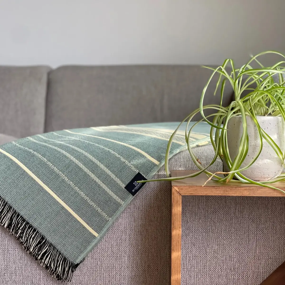 Equinoccio Throw In Mint 1