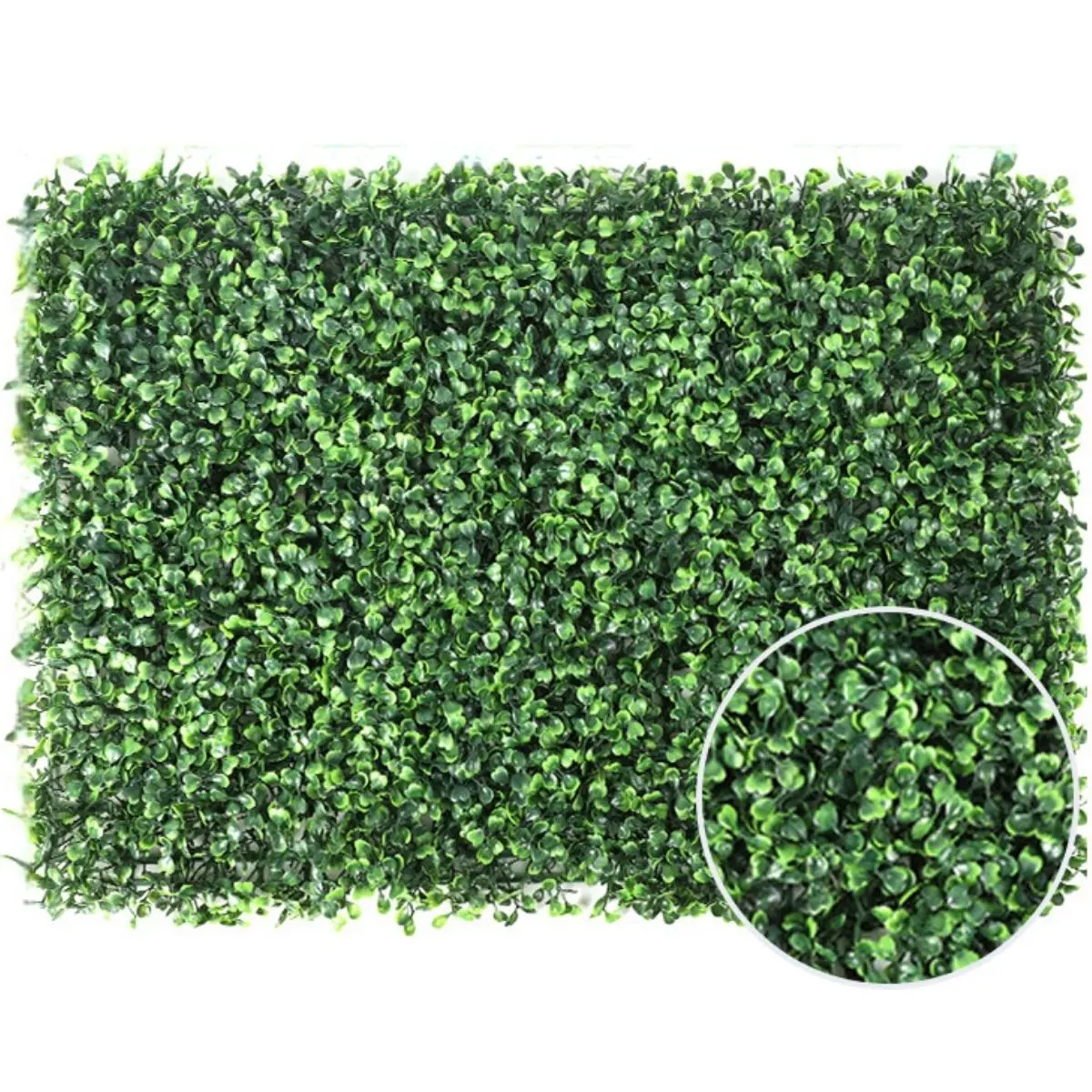 Follaje Artificial De Plástico (60 X 40 Cm) De 4 Cm De Altura Para Jardín Vertical, Muro Verde, Decoración Interior Y Exterior. 1