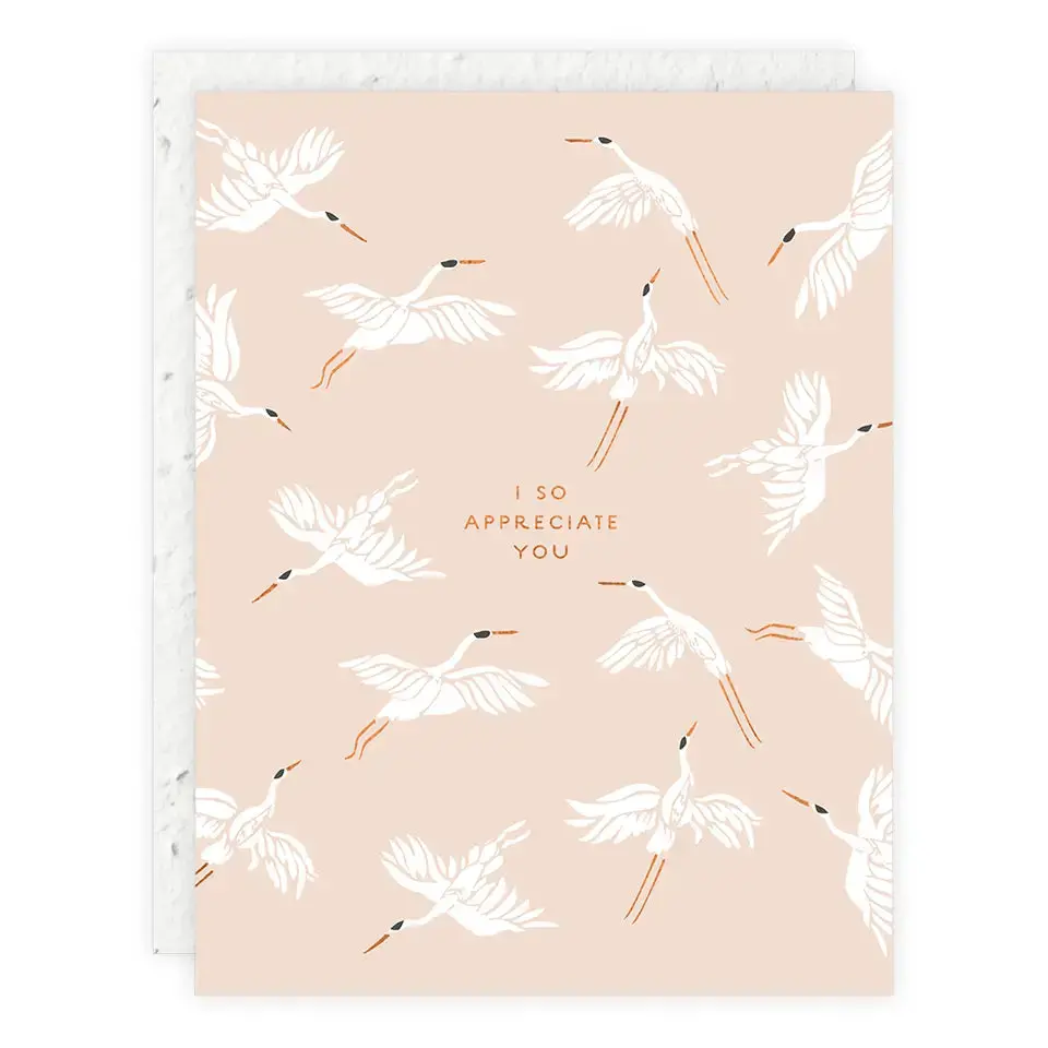 I So Appreciate You Card 1