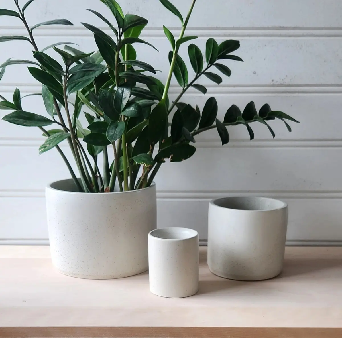 Cylinder Planter 3" White 1