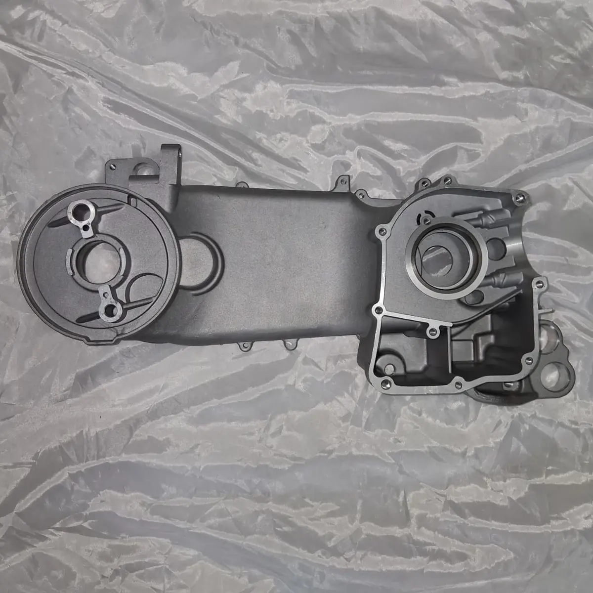 Carter Izquierdo (Minnix150) Left Crankcase 1