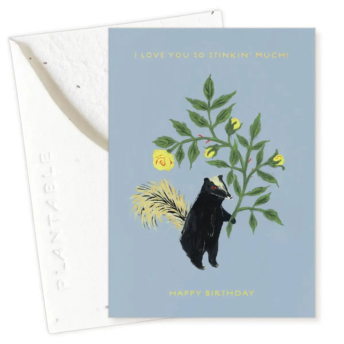 Stinker Birthday Mini Card 1