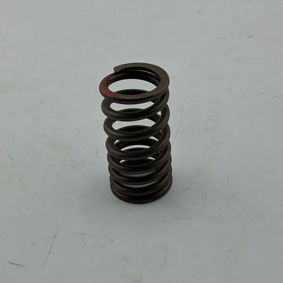 Resorte De Valvulas (Tnt150i) Valve Spring 1