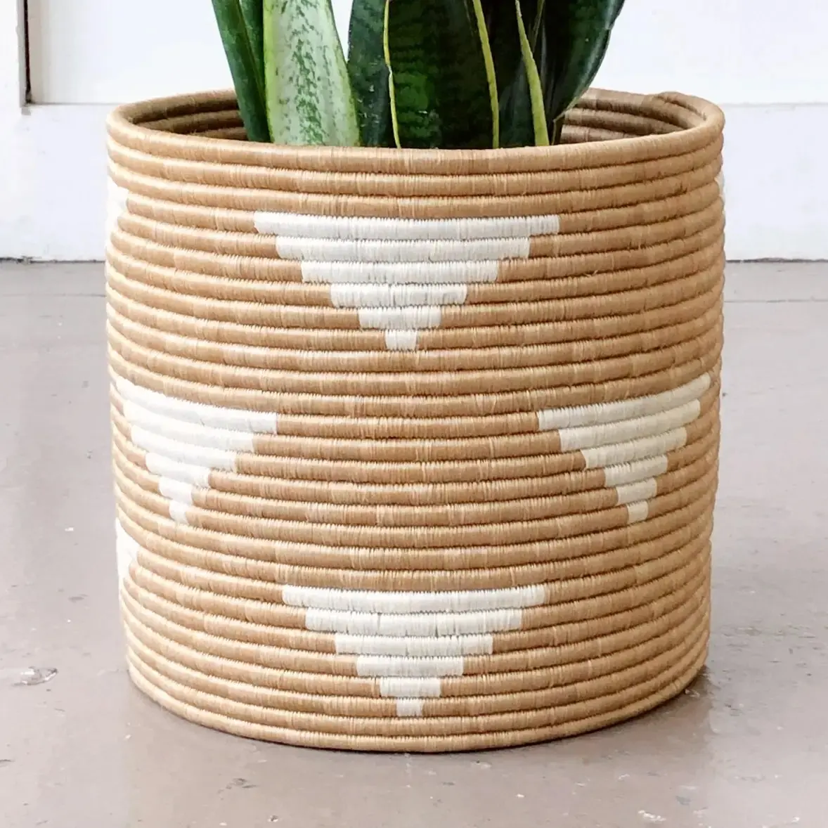 Ihema Plant Basket - 10In 2