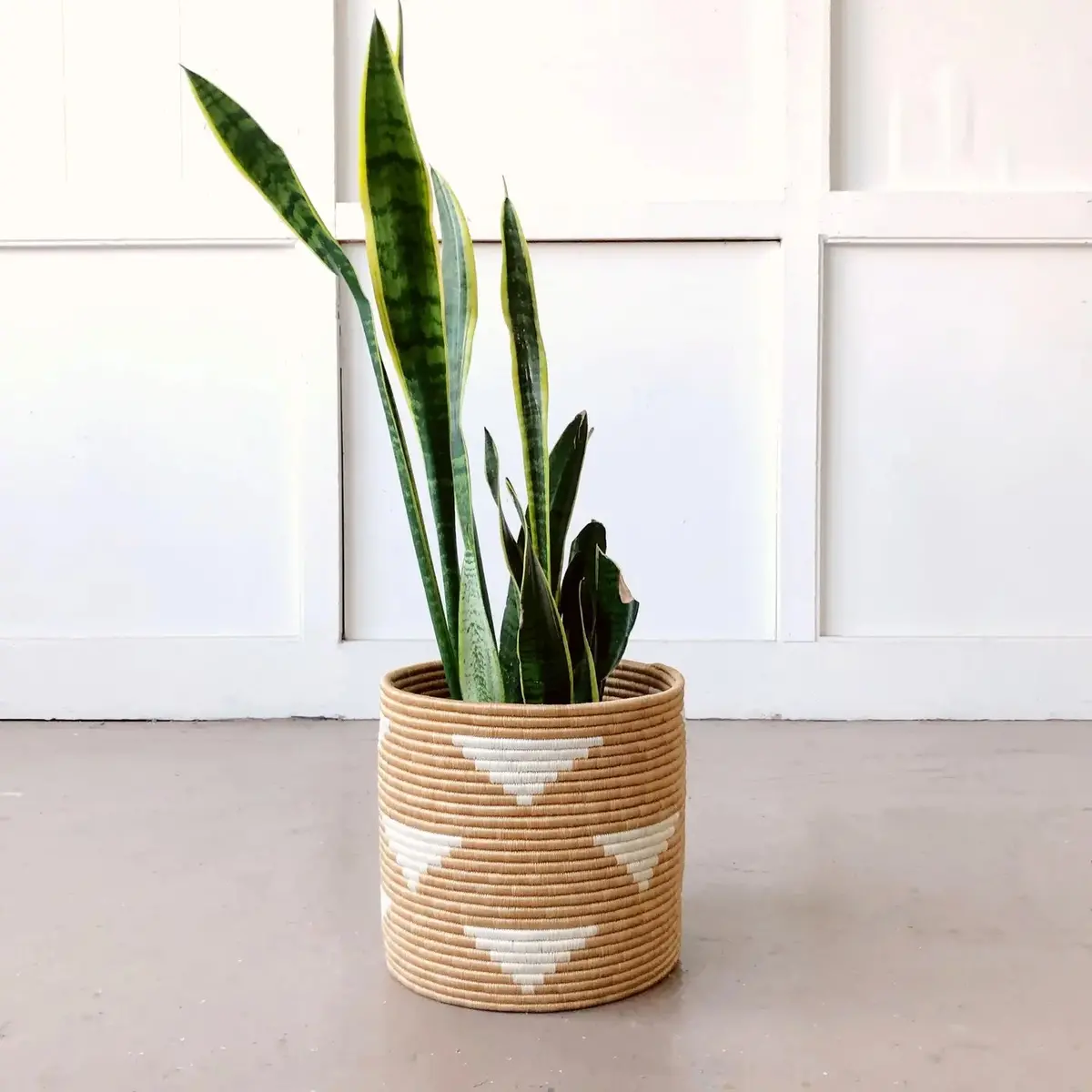 Ihema Plant Basket - 12In 1