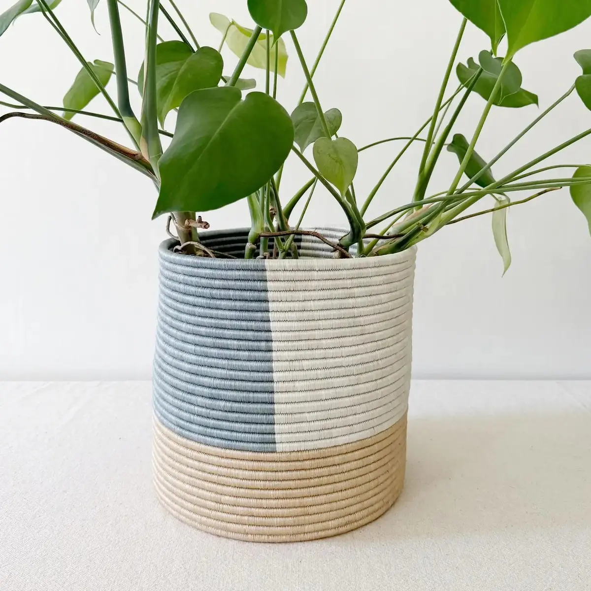Kibati Plant Basket - 12In 1