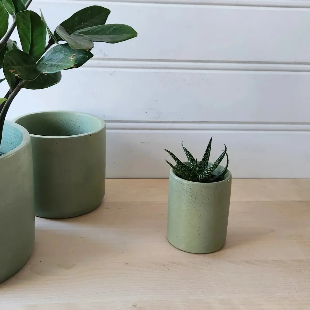 Cylinder Planter 3" Olive 1