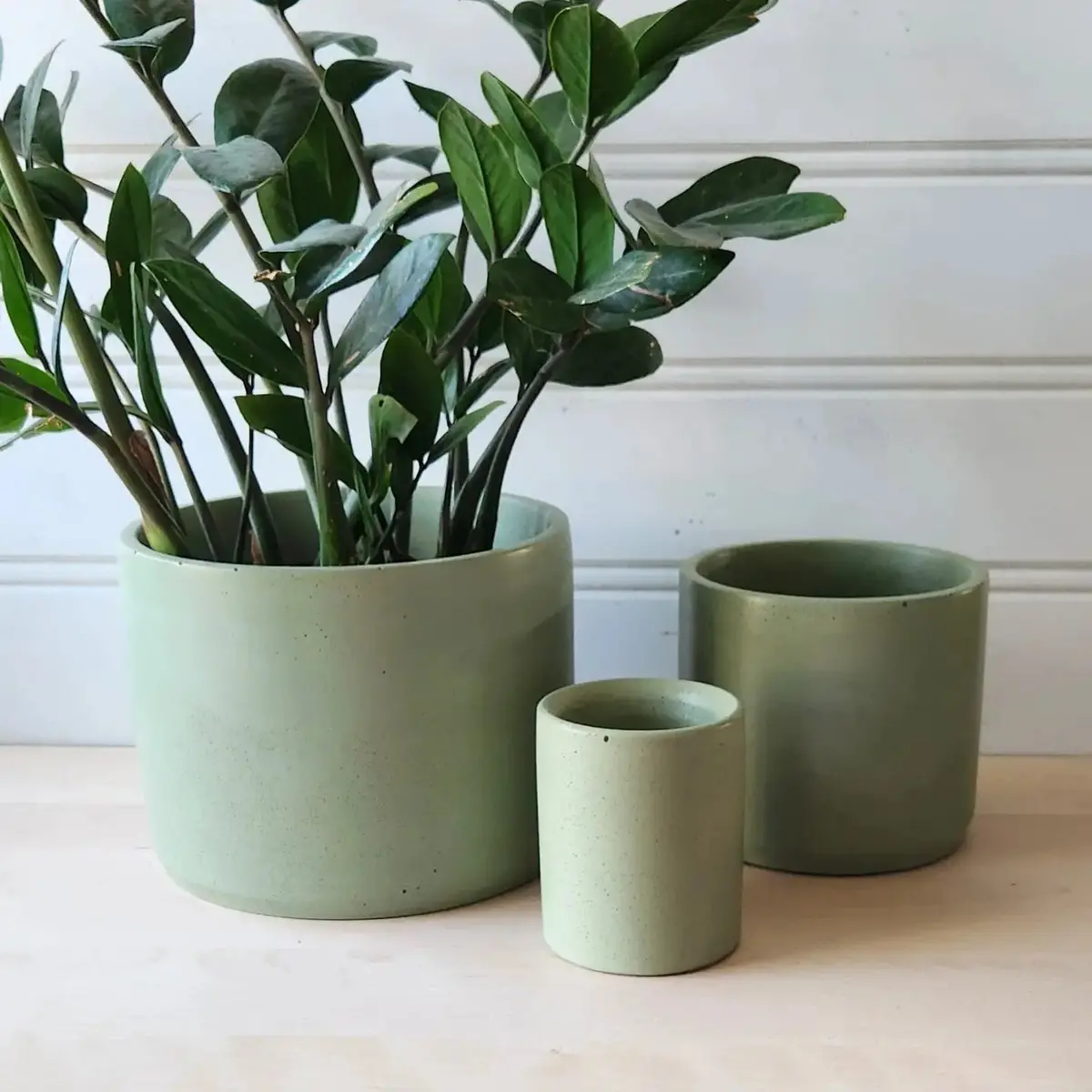 Cylinder Planter 3" Olive 2