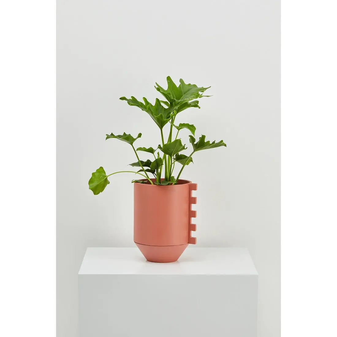 Capra Zip Planter-Dusty Rose 1