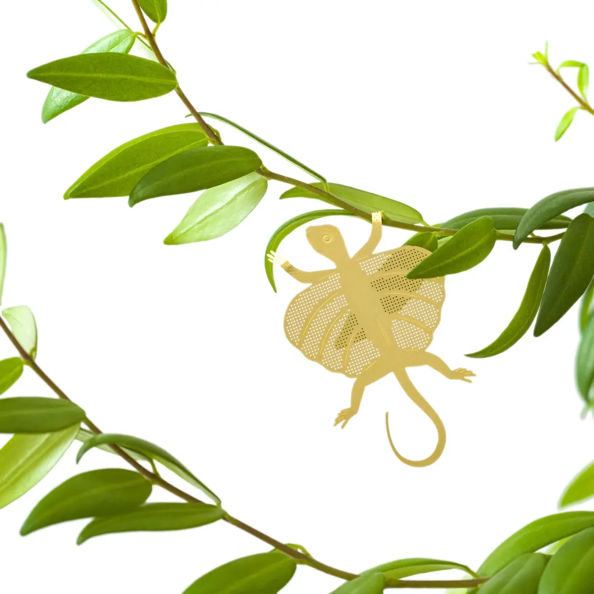 Plant Animal - Flying Lizard 1