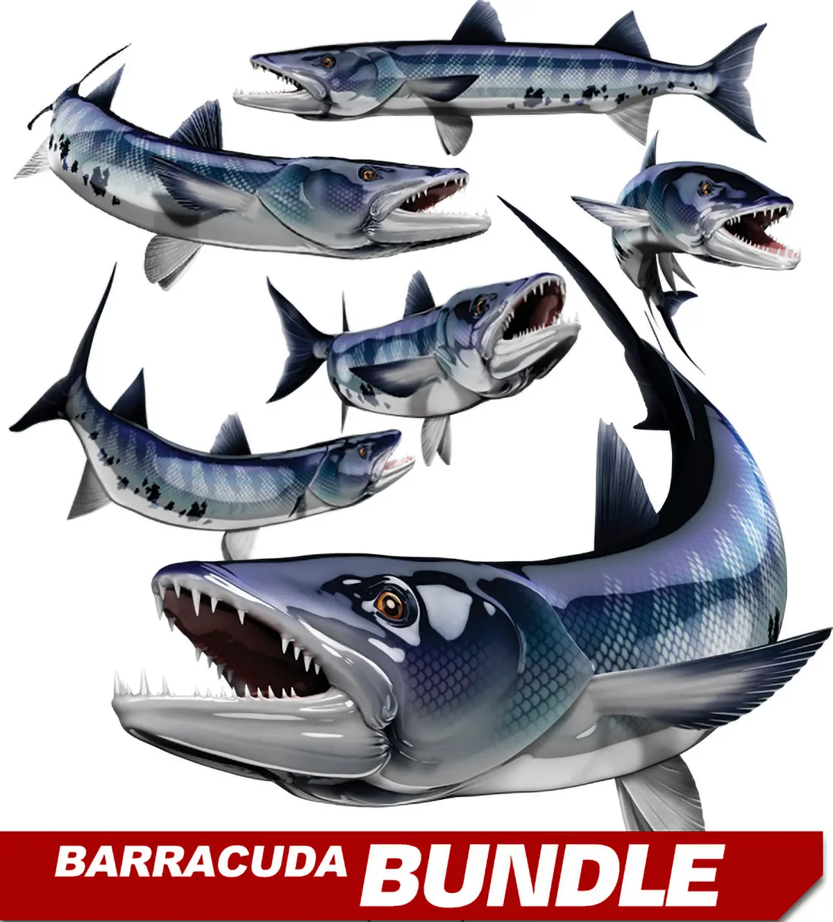Blue Barracuda Predator Boat Decal – Mirror-Image Vinyl Graphic Set 3