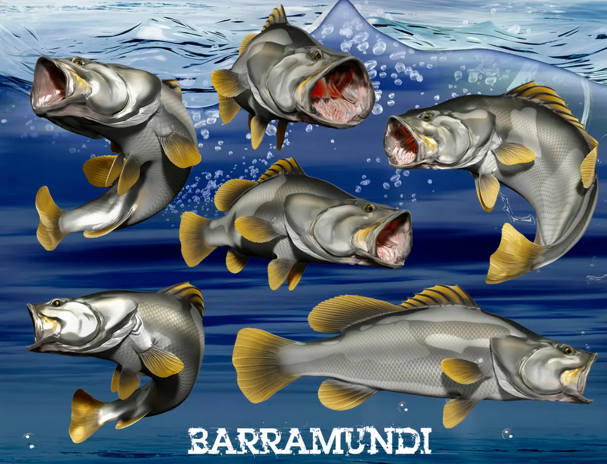 Barramundi Attack Pose Vinyl Boat Decal – Fierce Fishing Graphics 3