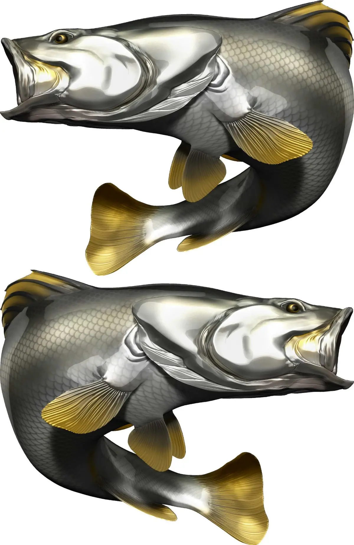 Barramundi Attack Pose Vinyl Boat Decal – Fierce Fishing Graphics 2