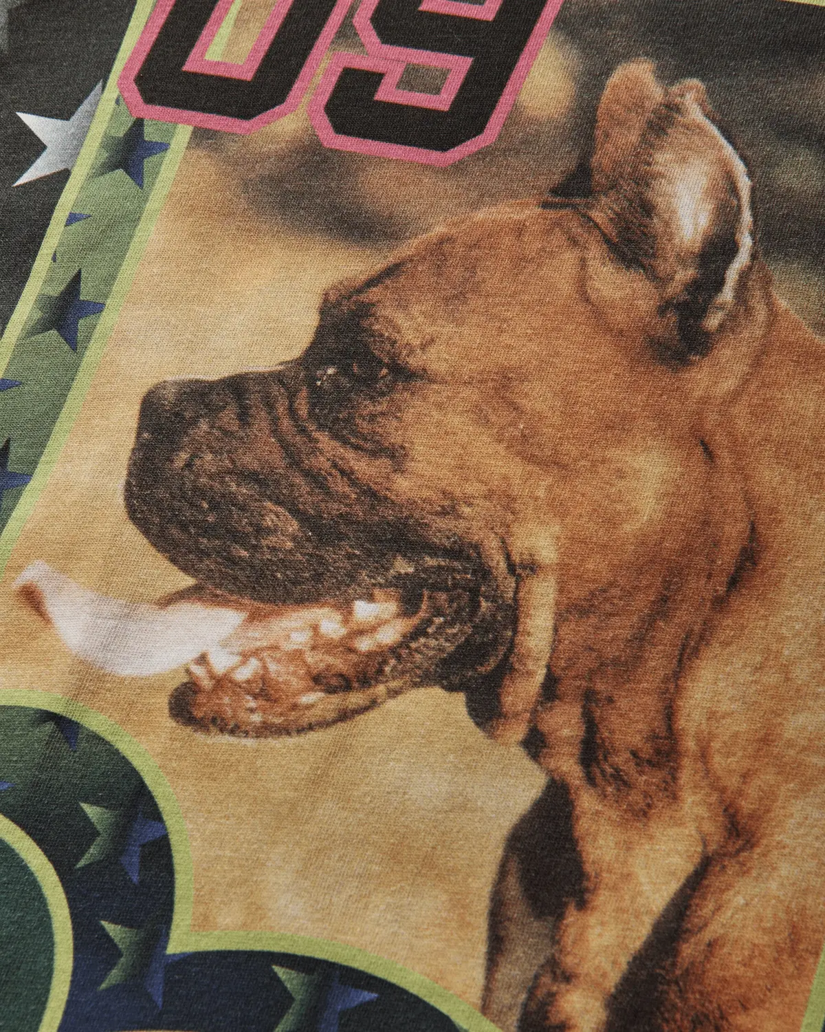 Women's Deptford Dogs Fitted Jersey Top Multicolor 3