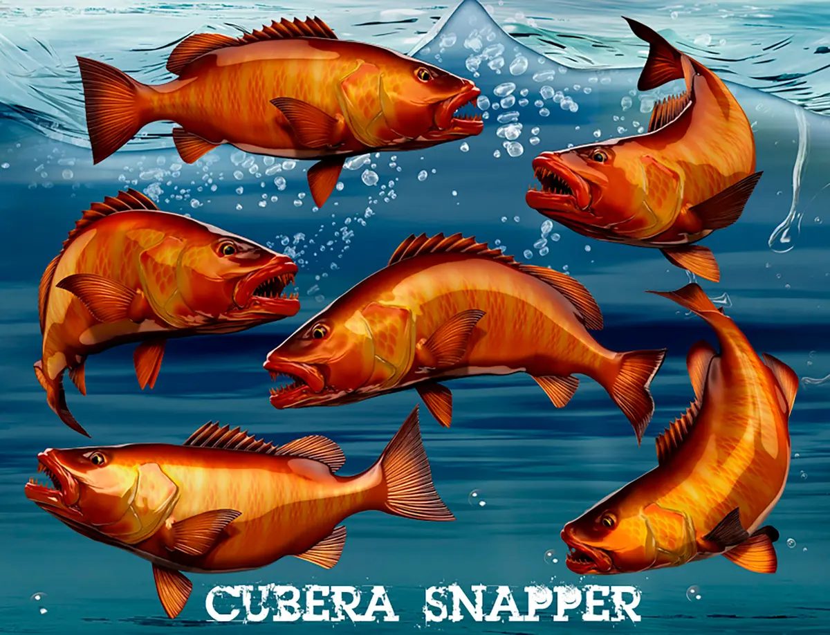Cubera Snapper Curved-Leap Boat Decal – Premium Vinyl Fish Graphic 4