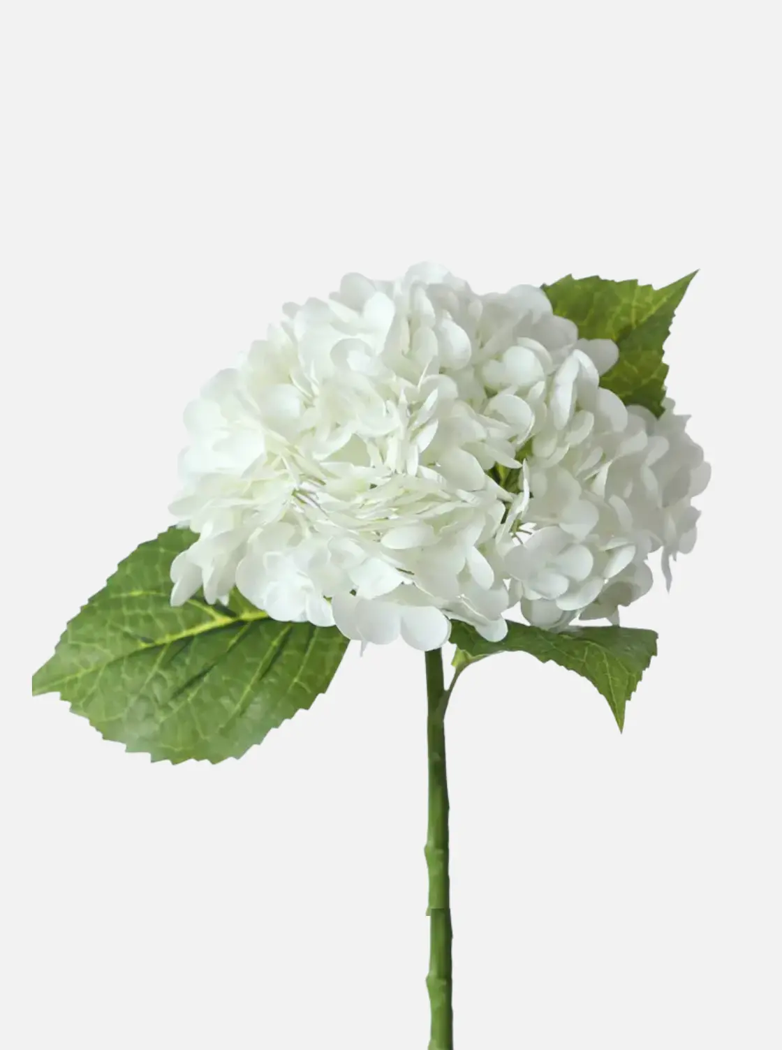 Faux Hydrangea Stem 1