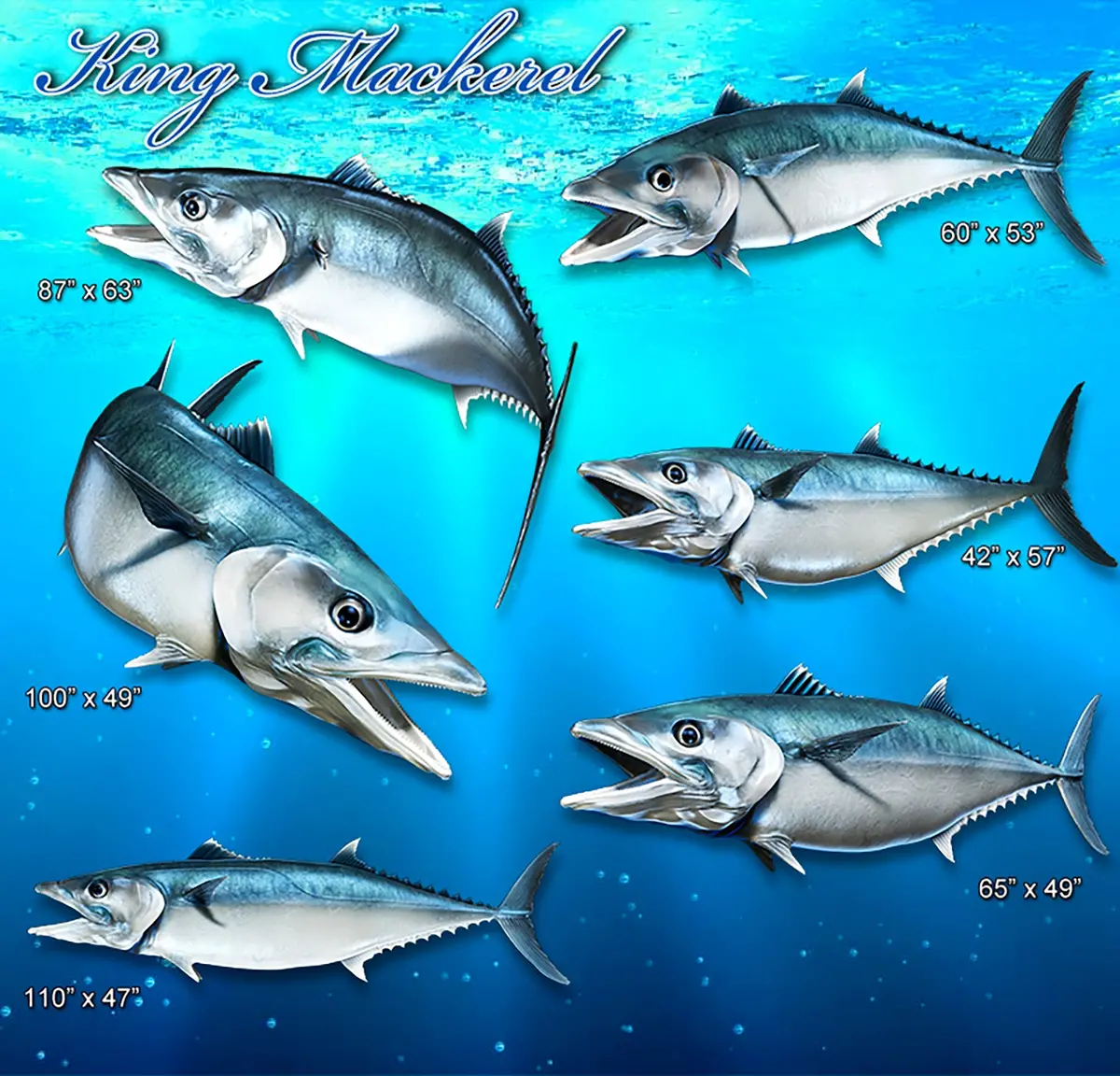 King Mackerel Predator Boat Decal – Fish Vinyl Graphics 4
