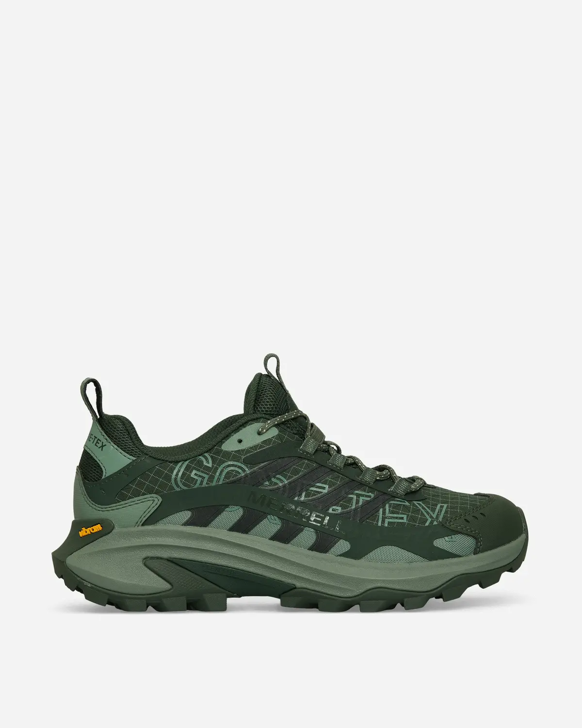Moab Speed 2 Gore-Tex Bl 1Trl Sneakers Viridian 1