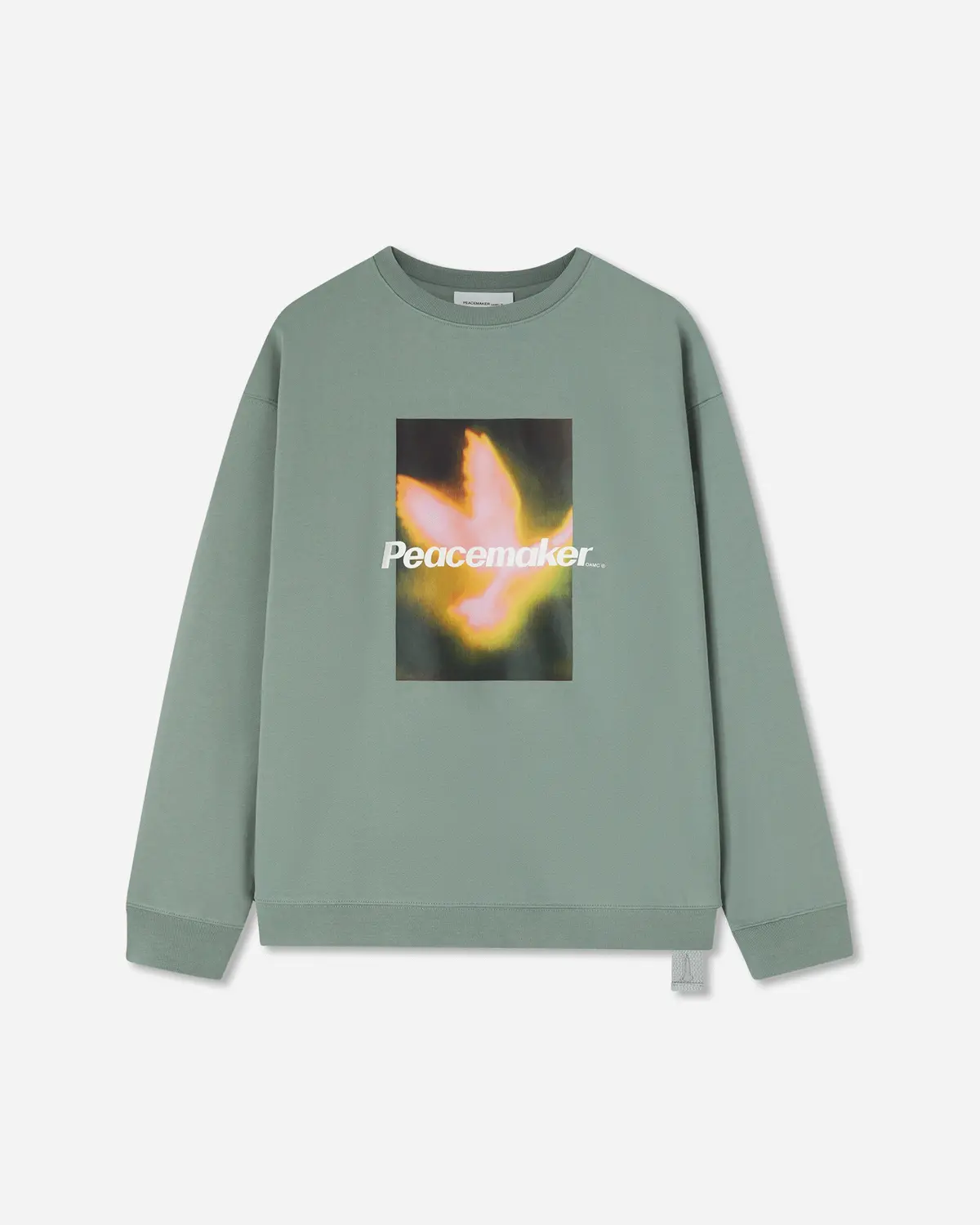 Men's Bird Loose Fit Crewneck Sweatshirt Sage Green 1