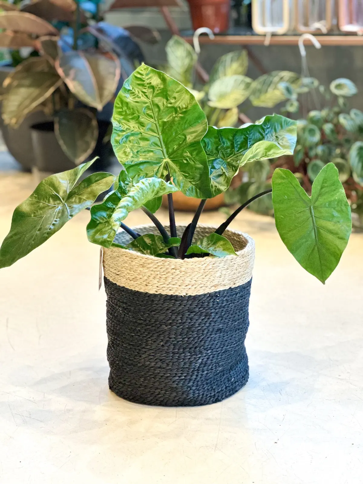 Small Charcoal/Natural Jute Round Basket 1