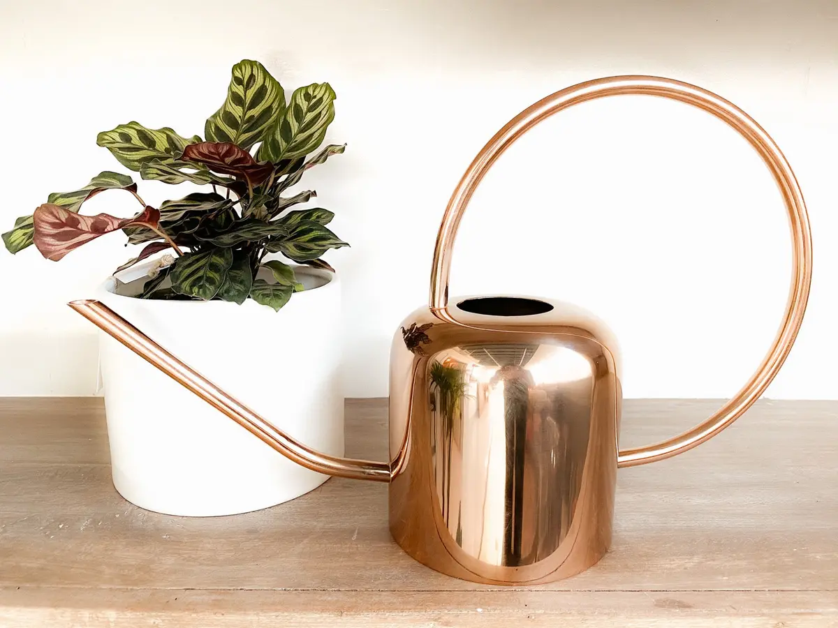 Copper Watering Can 1