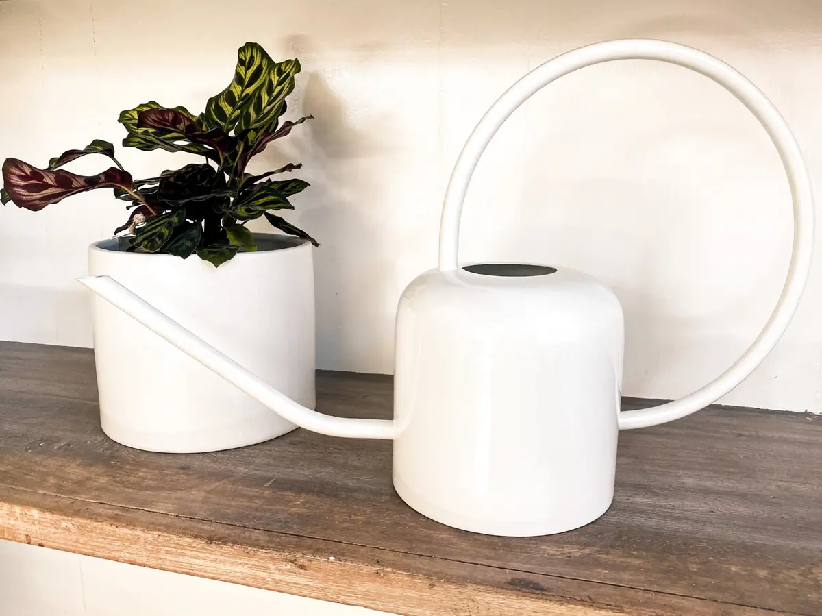 Vintage Inspired Watering Can 1
