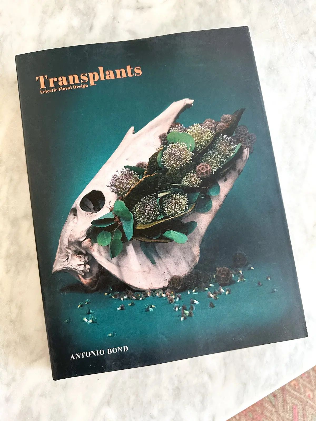 Transplants: Eclectic Floral Designs 1
