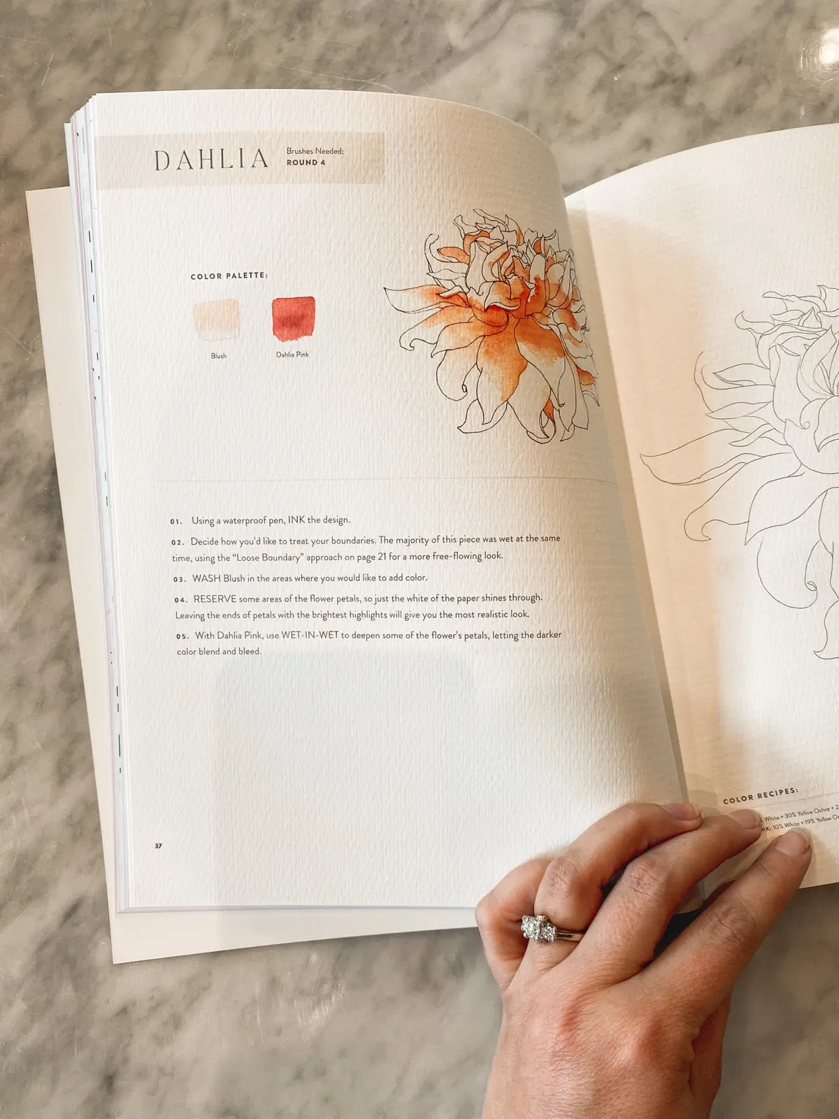 Watercolor Workbook: 30 Minute Beginner Botanical Projects 2