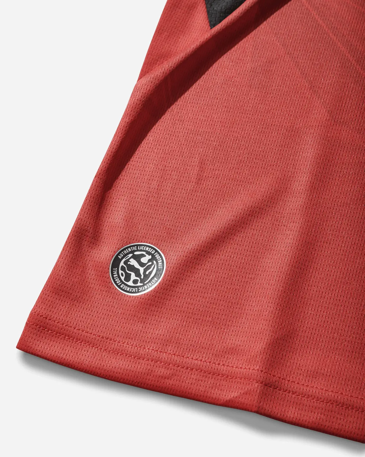 Men's Egypt 2026 Home Jersey Red / Intense Red 4