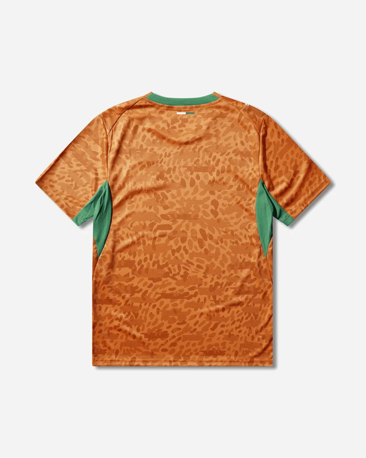 Men's Côte D'ivoire 2026 Home Jersey Rickie Orange / Sport Green 2