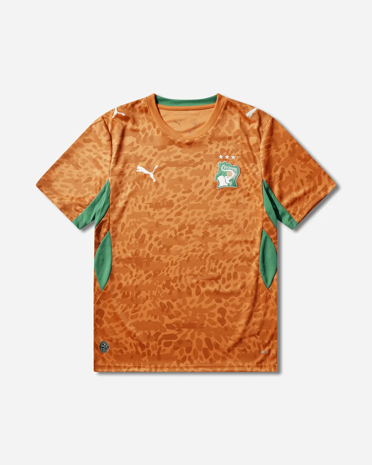Men's Côte D'ivoire 2026 Home Jersey Rickie Orange / Sport Green 1