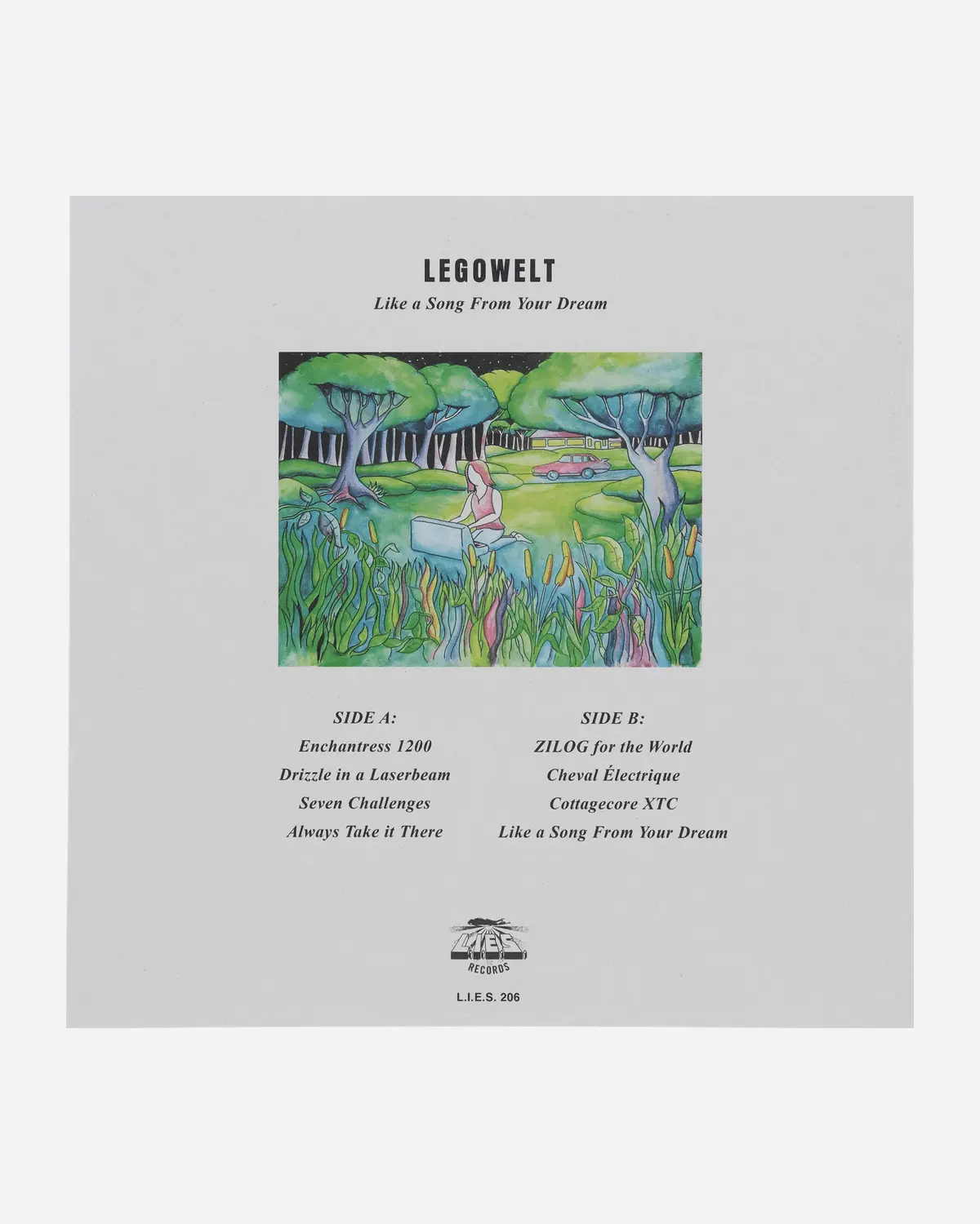 Like A Song From Your Dream Vinyl 2