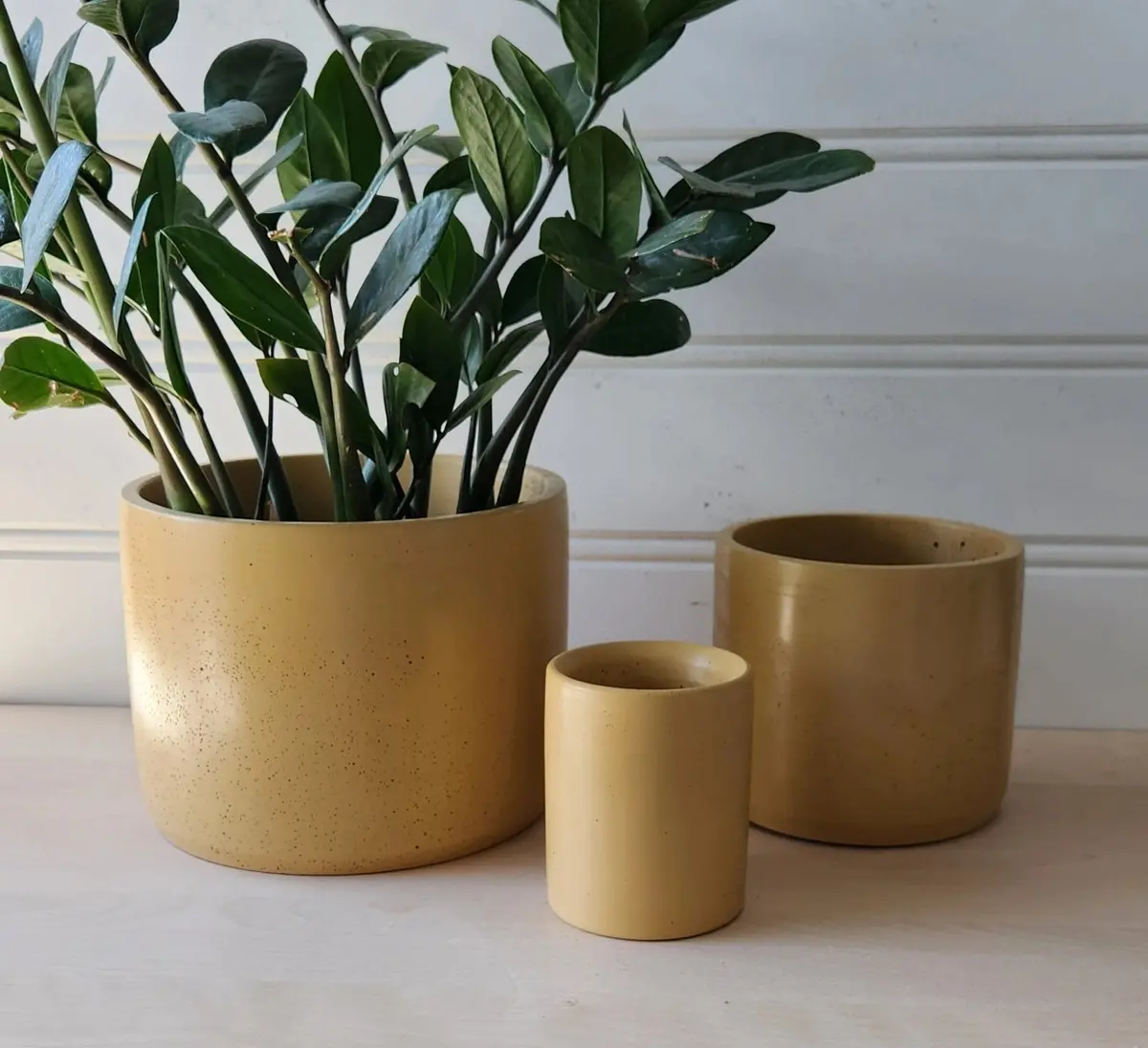 Cylinder Planter 5" Mustard 1
