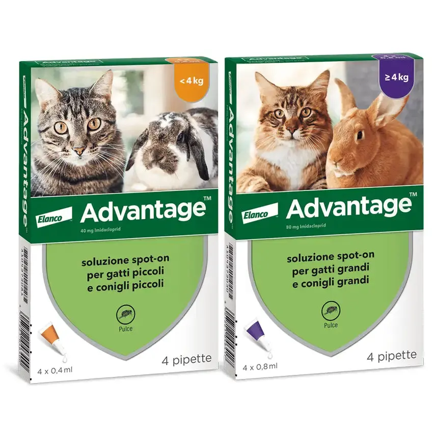 Advantage Spot On Gatti 4 Pipette 1