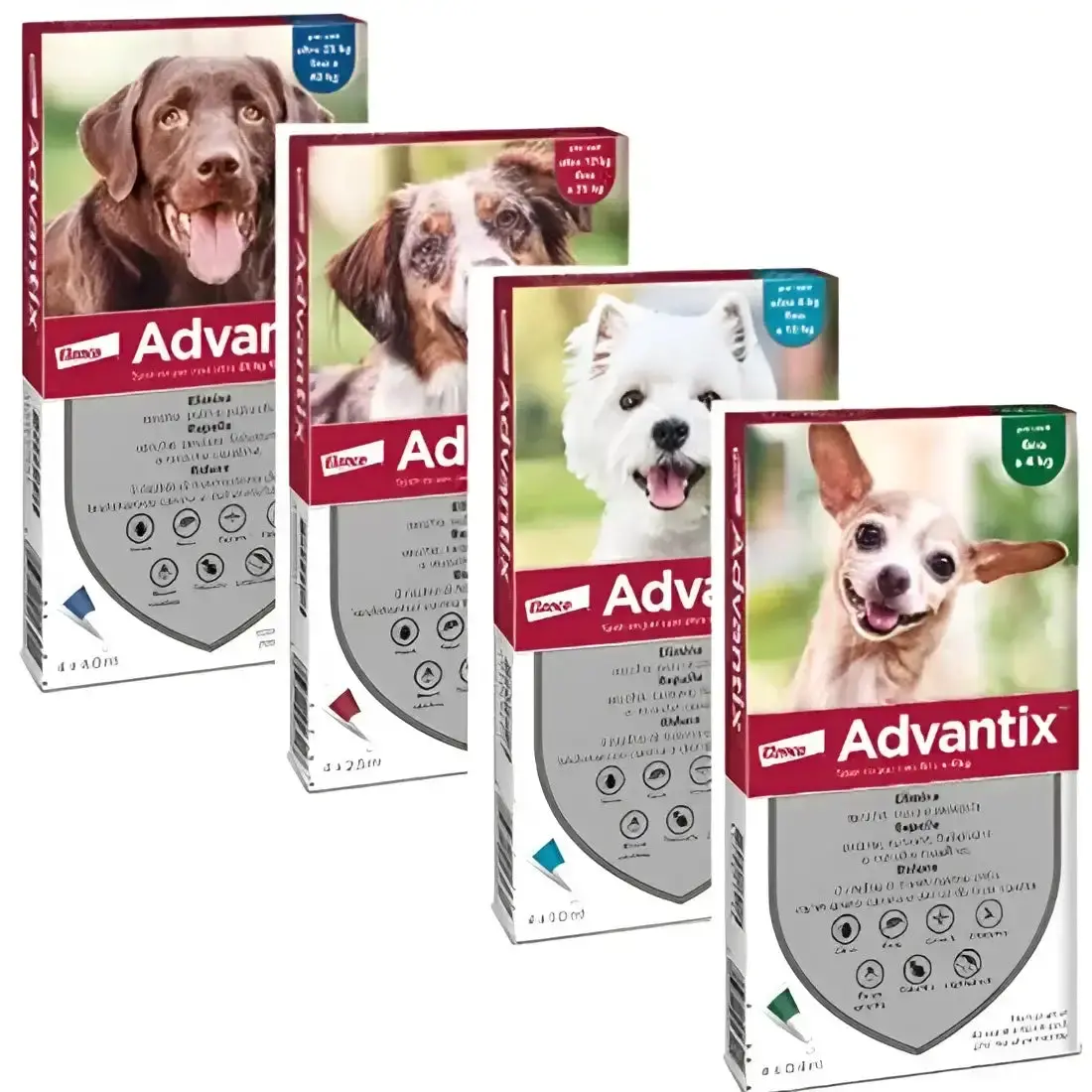 Advantix™ Spot-On Per Cani 1