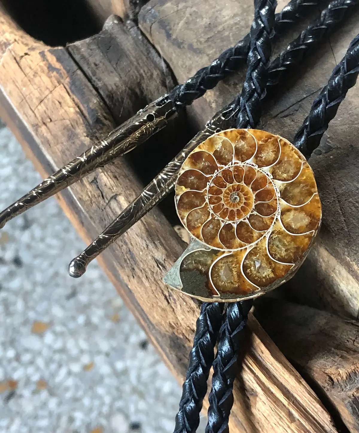 Ammonite Bolo Tie, Golden Ratio Fossil Stone Western Tie 1