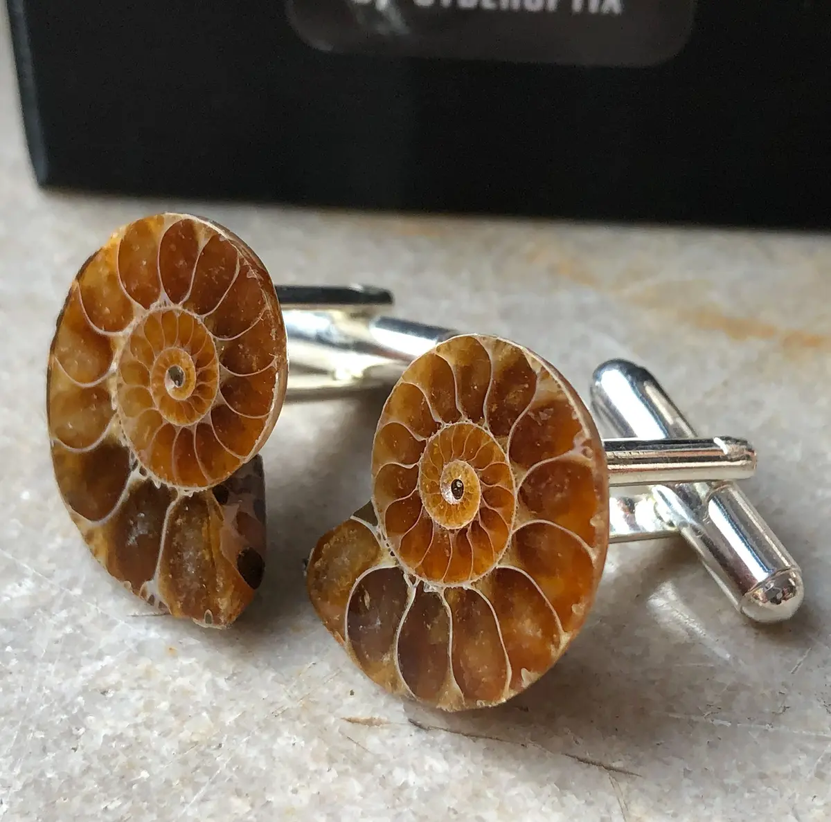 Ammonite Cufflinks, Golden Ratio Men's Fossil Cufflinks 1