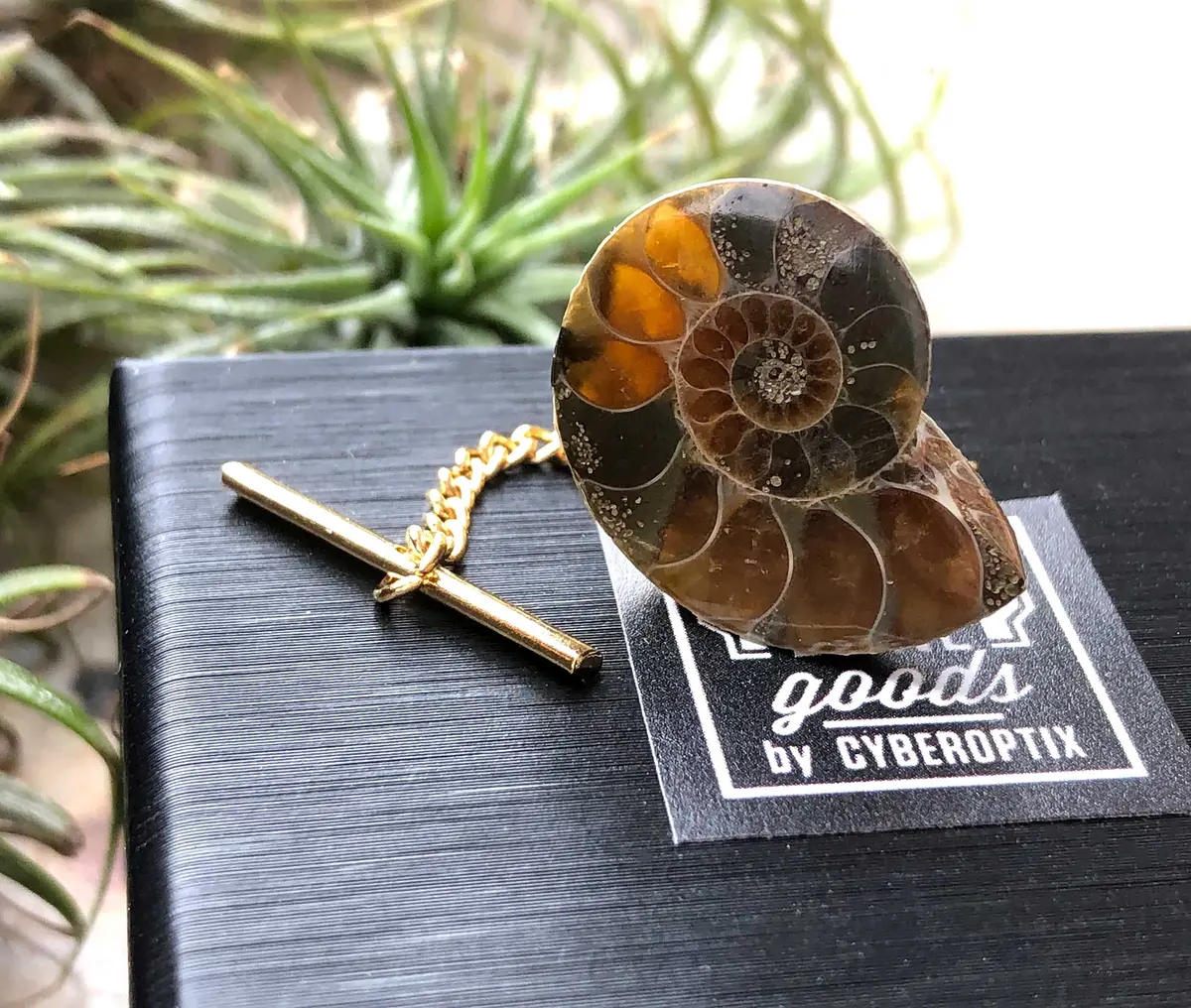 Ammonite Tie Tack, Fossil Tie Pin 3