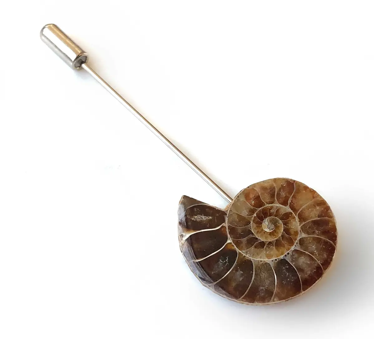 Ammonite Lapel Pin, Fossil Shell Stick Pin 1