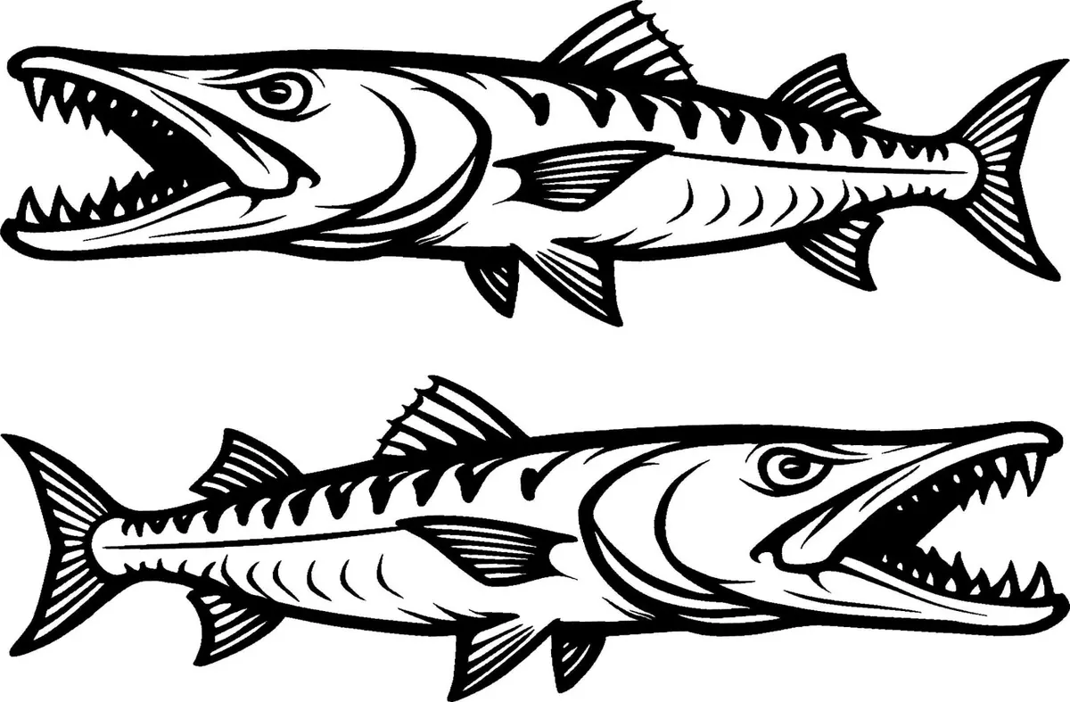 Barracuda Die-Cut Vinyl Decal Set For Boats 3