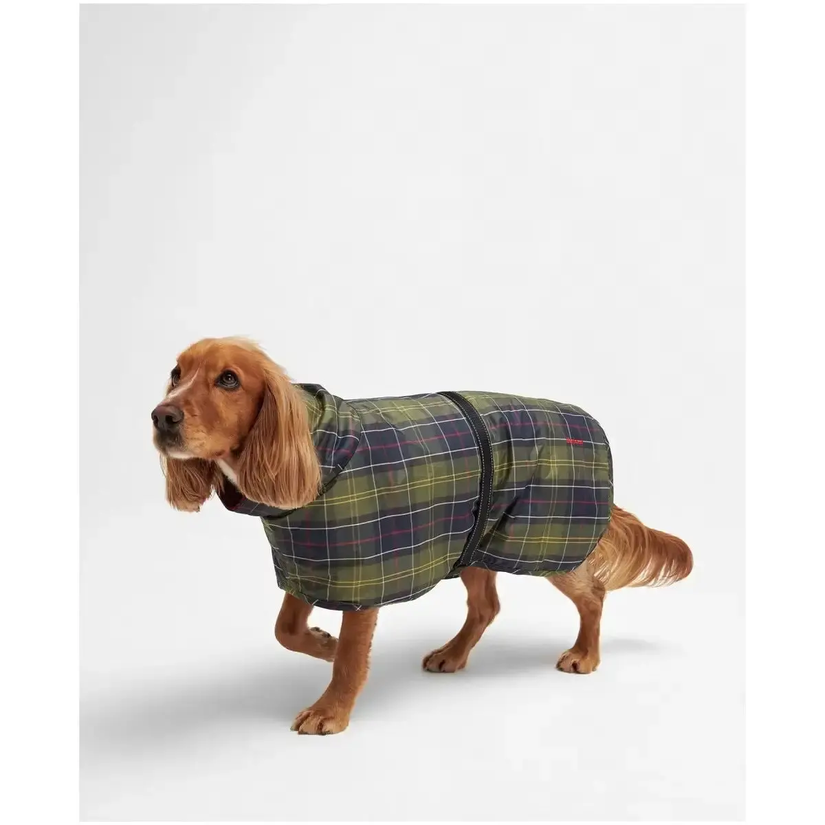 Barbour - Cappotto Per Cani Antipioggia 1