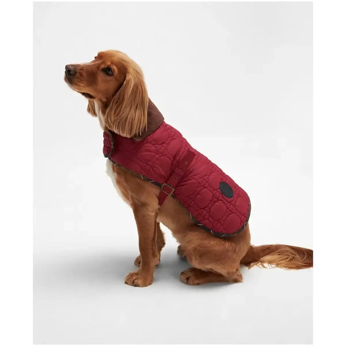 Barbour - Cappotto Per Cani Dog Bone 4