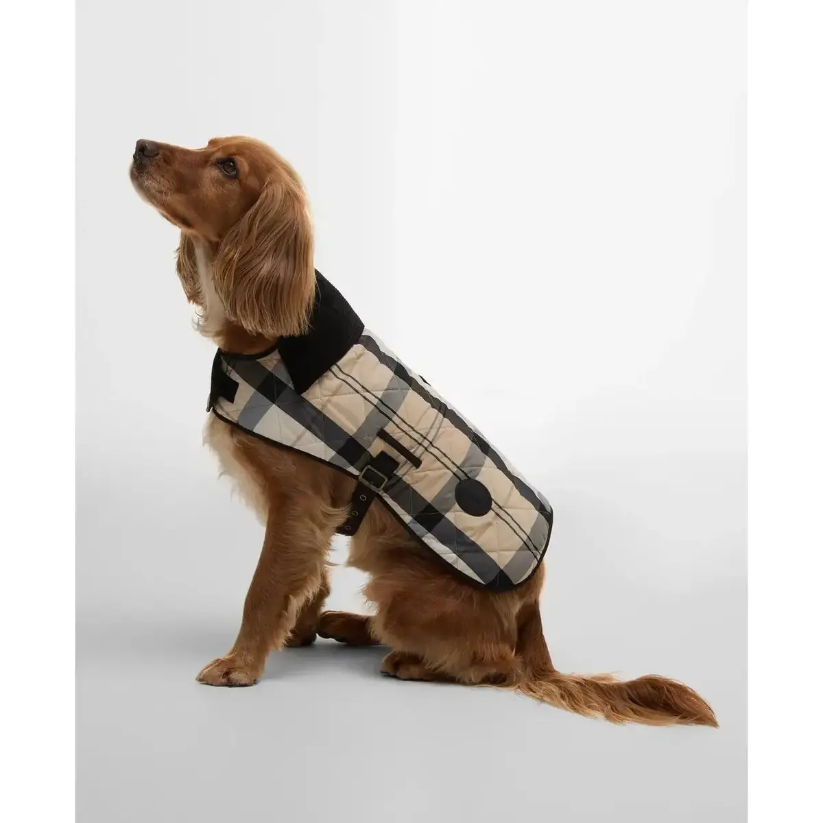 Barbour - Cappotto Per Cani Safari Tartan 1