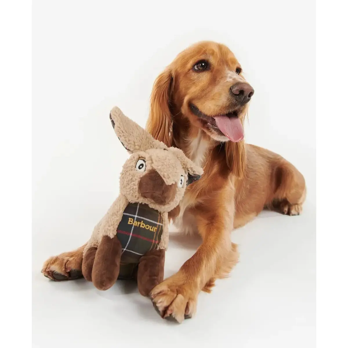 Barbour - Gioco Per Cani Coniglio 2