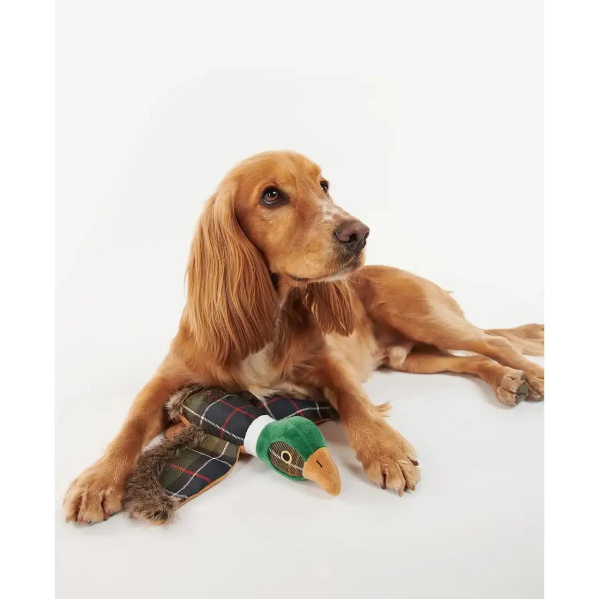 Barbour - Gioco Per Cani Fagiano 1