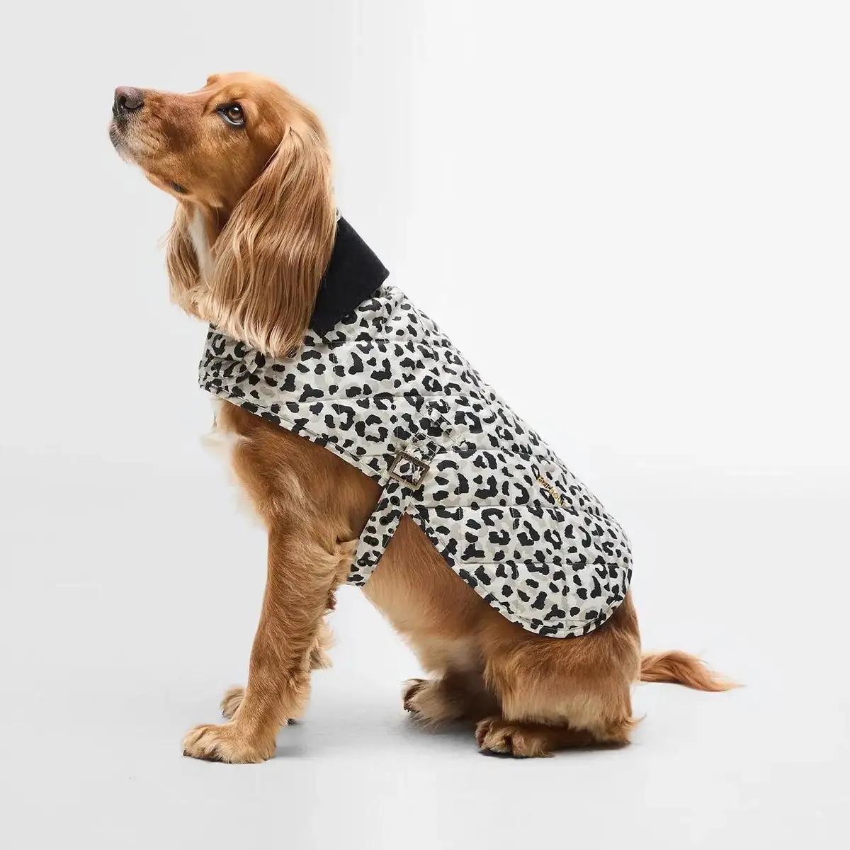 Barbour - Cappotto Per Cani Trapuntato Harley 1