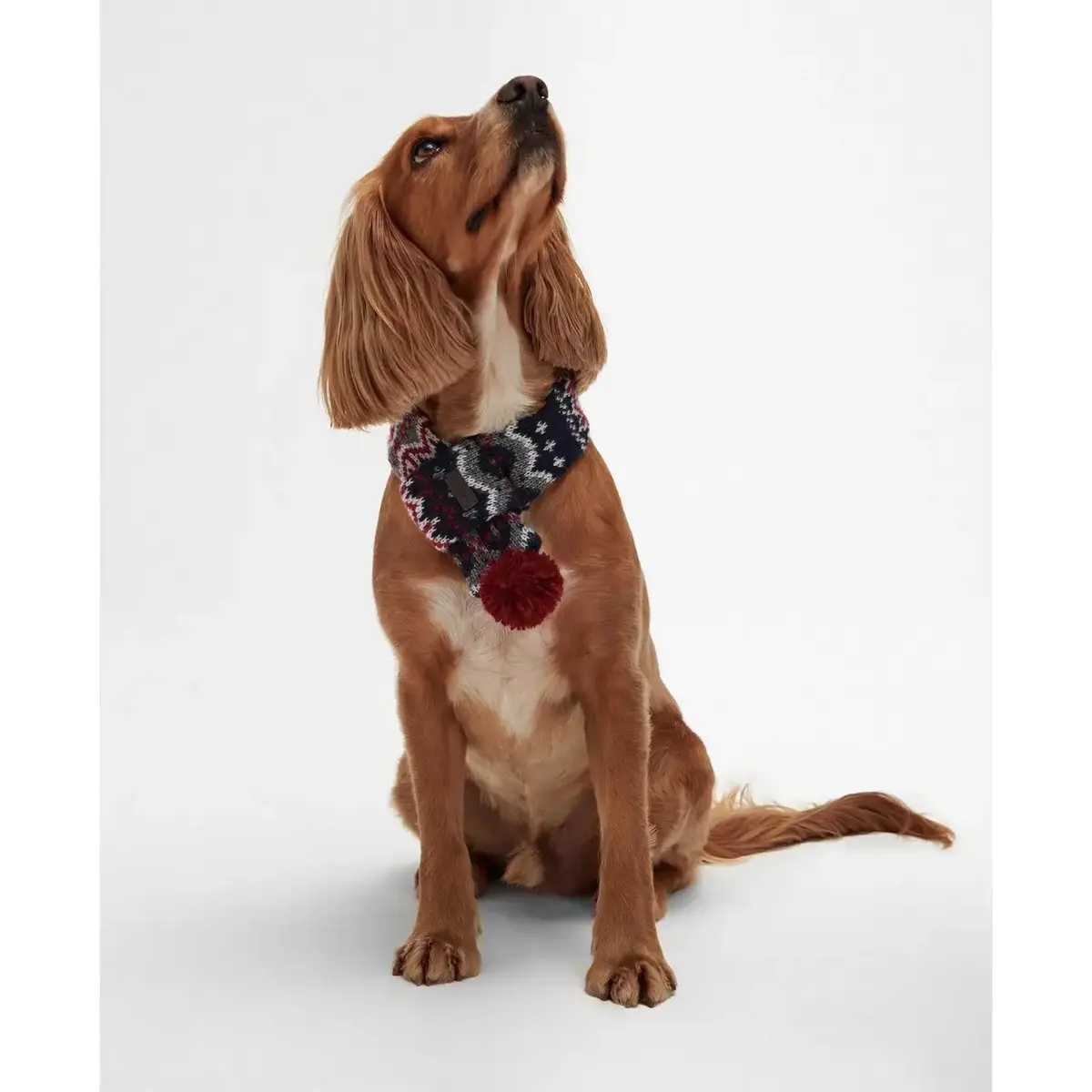 Barbour - Sciarpa Per Cani Con Fantasia Fair Isle 2