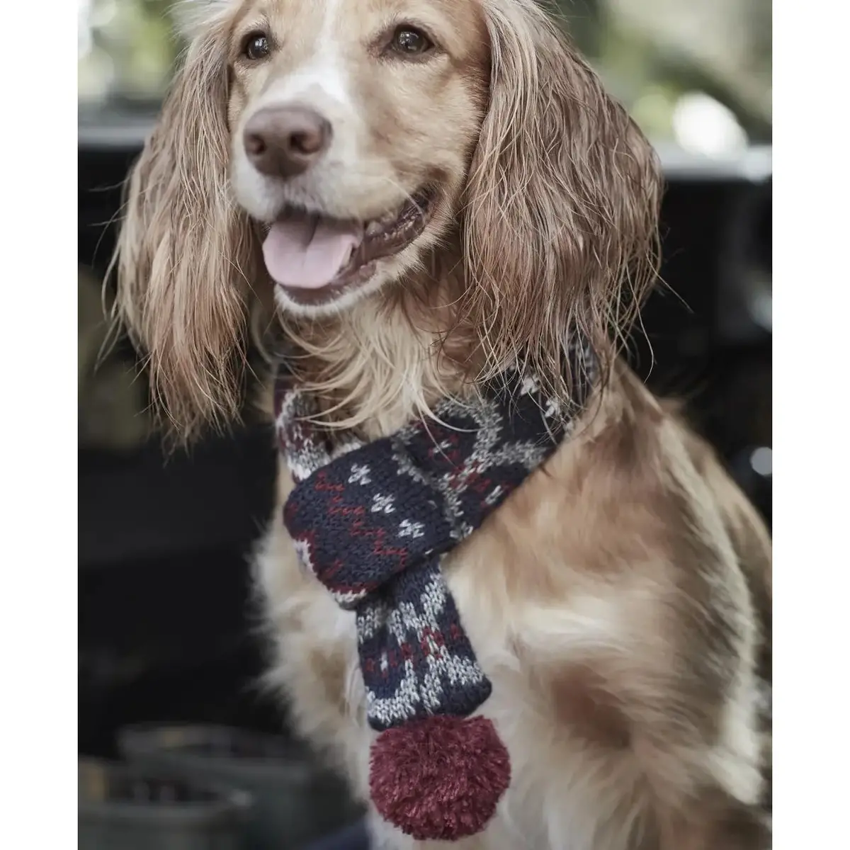 Barbour - Sciarpa Per Cani Con Fantasia Fair Isle 1