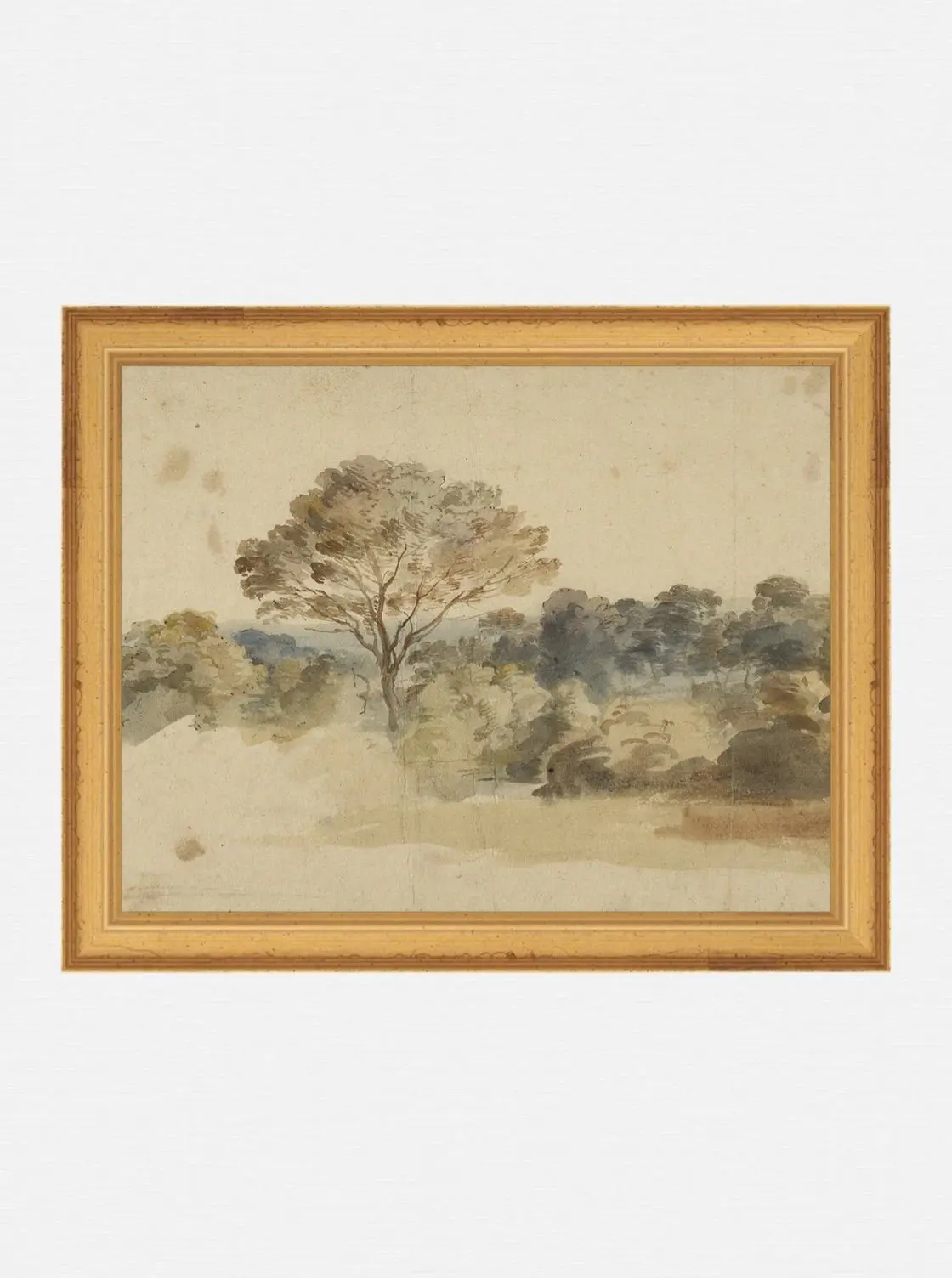Baroque Watercolor 1
